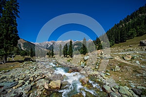 View of river stream from Himalaya mountains at Sonamarg Valley of Kashmir, India.