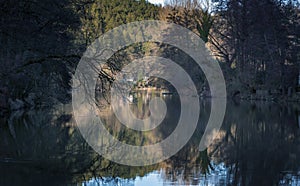 View of the river surface with trees reflecting