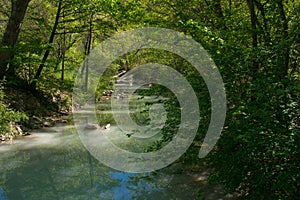 View of river Tescio in the wood of Saint Francis in Assisi, Umbria region, Italy