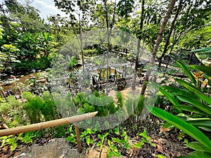 view of a river from the top of the cliff