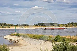 View on the river Waal and the Millingerwaard, near Nijmegen, the Netherlands with vessel and equus caballus caballus