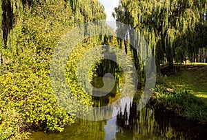 River Welland in Spalding, Lincolnshire, East of England photo