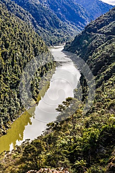 View of the river in Whanganui National Park, New Zealand
