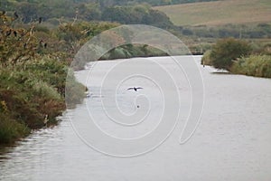 view of the river Yar