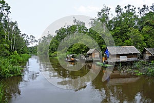 A view of riverside village of Sekonyer river, Indonesia photo