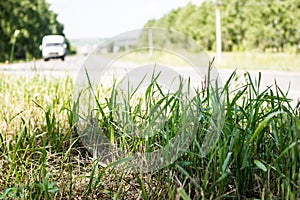 View of the road