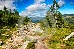 The view on the road Czech and polish friendship in National park Krkonose- Giant mountains