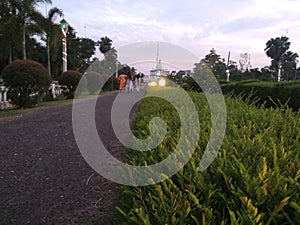 View of a Road, Garden