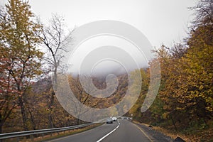 View of road with oak trees alley at autumn . Autumn landscape with road . Road in the autumnal forest . Foggy mountain . An