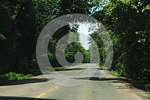 View of a road surrounded by green tropical forest