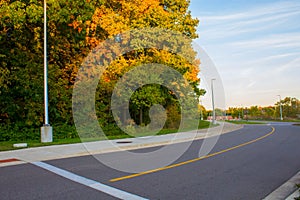 View of road with trees on a sunny day in fall. Fall color