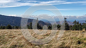 View from Roan Mountain TN