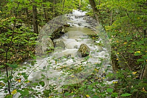 View of at Roaring Run Creek