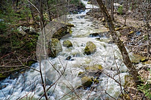 View of Roaring Run Creek