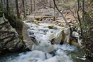 View of Roaring Run Creek