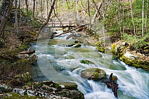 View of Roaring Run Creek