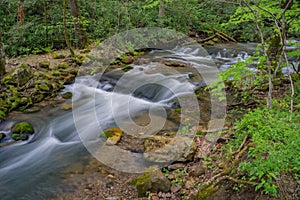 Roaring Run Creek, Jefferson National Forest, USA photo