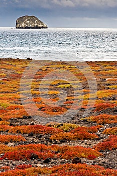 View of Roca Gordon from South Plaza Island