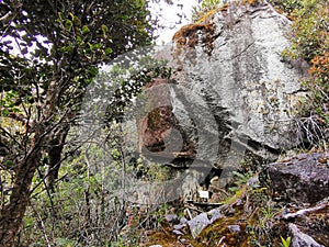 View of rock caves in the forest.