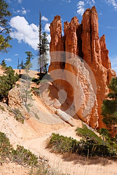 View of rock formations in the Bryce Canyon National Park, Utah, USA