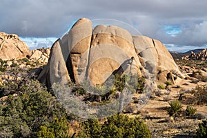 View of the Rock Formations at Joshua Tree National Park