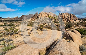 View of the Rock Formations at Joshua Tree National Park