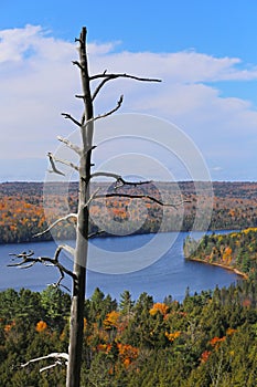 View of Rock Lake in Algonquin Park, Ontario, Canada