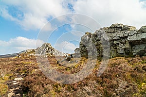 A view of rocks in the Stiperstones Nature Reserve in Shropshire, UK