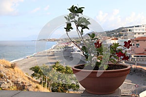 view of the rocky beach of the town of Diamante in the province of Cosenza, Calabria in southern Italy