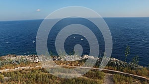 View of the rocky coast near Mamula fortress, seagulls flying over it, and the sea horizon