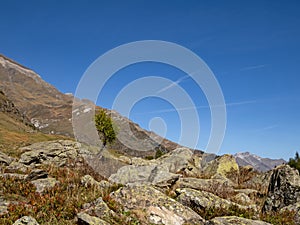 View of the rocky landscape in the Passeier Valley near Pfelders in the Texel Group Nature Park, South Tyrol, Italy