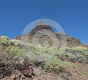 View of rocky mountain peak at Barranco de Guigui Grande. Arid subtropical landscape of ravine with cacti and succulent