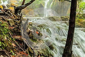 View of rocky waterfall with snags in front