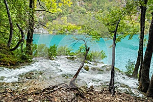 View of rocky waterfall stream with snags and trees in front