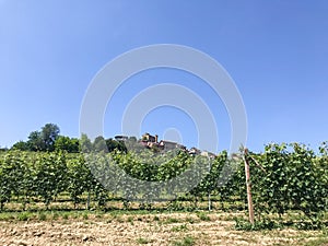 View of Roddi, a village in the Langhe hills, Piedmont - Italy