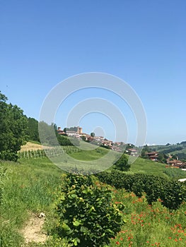 View of Roddi, a village in the Langhe hills, Piedmont - Italy