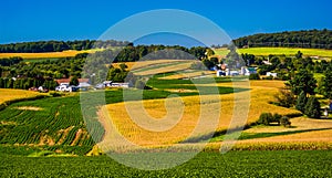 View of rolling hills and farm fields in rural York County, Penn