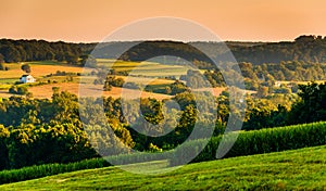 View of rolling hills and farm fields at sunset, in rural York C