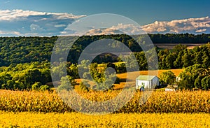 View of rolling hills near Cross Roads, Pennsylvania.