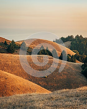 View of rolling hills at sunset, from Mount Tamalpais, California