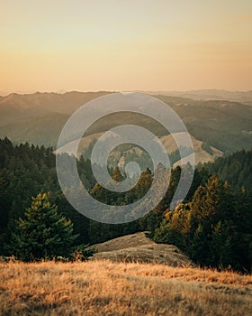 View of rolling hills at sunset, from Mount Tamalpais, California