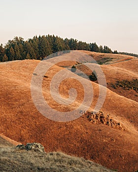 View of rolling hills at sunset, from Mount Tamalpais, California
