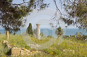 View of roman era ruins, Carthage, Tunisia