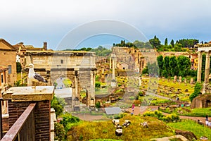 View of the Roman forum ruins Rome city Italy