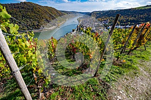 View of Romantic Rhine in autumn from Boppard, Germany