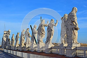 View on the roof of St. Peter`s Cathedral, Rome