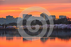 View of Rosslyn, Arlington, Virginia, USA from the tidal basin in Washington DC at Dusk