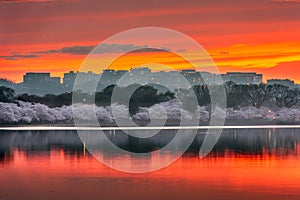 View of Rosslyn, Arlington, Virginia, USA from the tidal basin in Washington DC During Spring Season