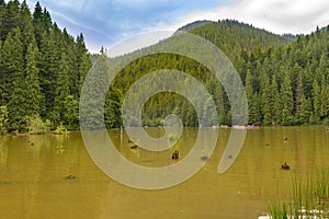 View of Rosu Lake, Romania