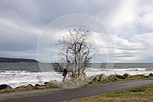 View of Rotary Beach Park North Path in Campbell River photo